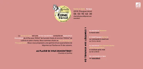 Site web de Ô Gallo